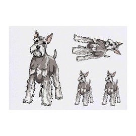 Azeeda 4 x 'Schnauzer Hund' Temporäre Tattoos - Wasserfest, Hautfreundlich & Ungiftig · Transfers in Verschiedenen Größen (TO00079224)