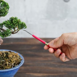 Wazakura Small Double Jin Knife for Bonsai 6.8 inches (175 mm) Made in Japan, Deadwood Carving Tool, Japanese Shari Bark Scraper - Silver