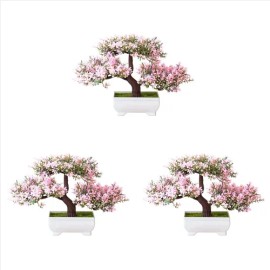 Maceta Pequeña Con Forma De Bonsái, 3 Unidades De Plantas Ar