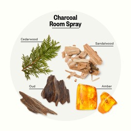 Apotheke Air Freshener Spray for Bathroom & Bedroom (Charcoal) - Fragrant Room Spray with Essential Oil - Home Furniture Spray Deodorizer - Cotton Linen, Pillow, & Fabric Spray