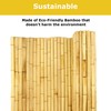 Backyard X-Scapes Natural Bamboo Fencing Decorative Rolled Fence Panel 0.75