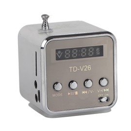 Portable Music Player Mini Digital Speaker FM Radio Stereo PC Fashion Support TF Card and U Disk(Silver)