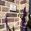 Metzler Doorbell in White, Interchangeable Name Plate, Powder-Coated in RAL