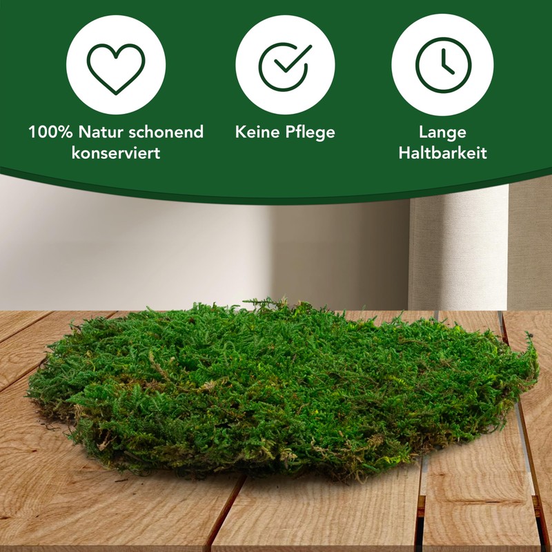 sphagnum-shop.com Plate Moss Preserved for Moss Pictures Decorative Moss Premium