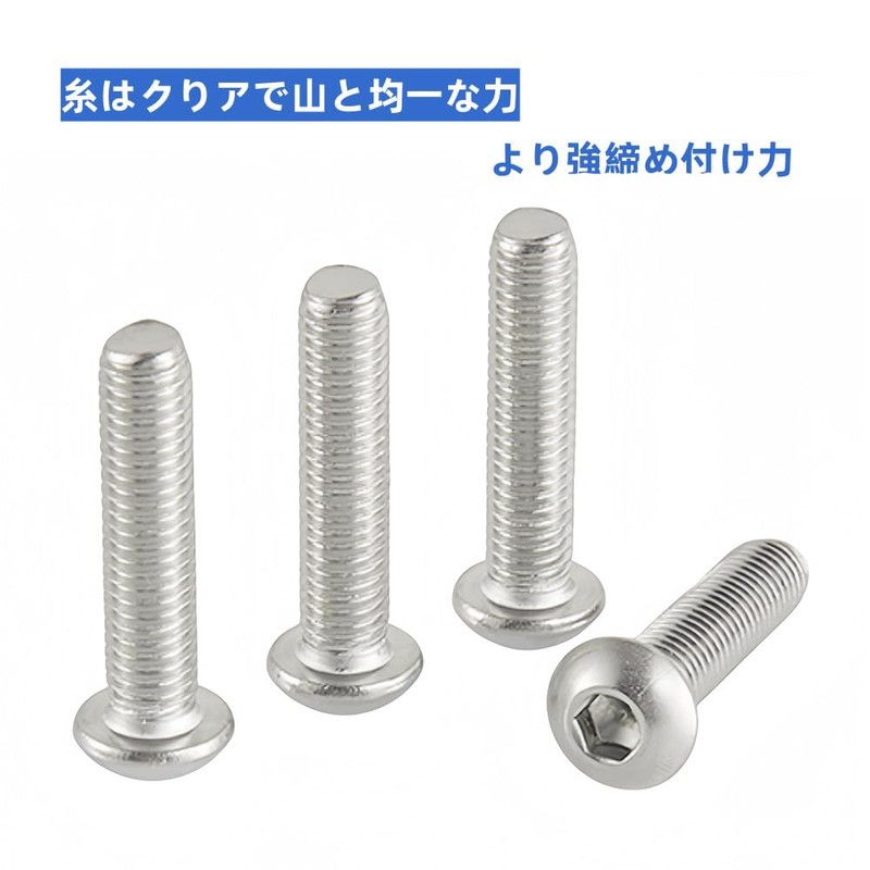 304ステンレス 六角穴付きボタンボルト M6*10 46本入 ISO7380