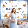 Mocsicka Cookie Baby Shower Backdrop A Sweet Baby Boy is