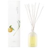 Oka Vitality Orange x Lemongrass