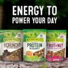 Nature Valley Granola, Protein Oats and Dark Chocolate, 16 oz