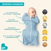 Love to Dream Swaddle UP Self-Soothing Sleep Sack 13-19 lbs,