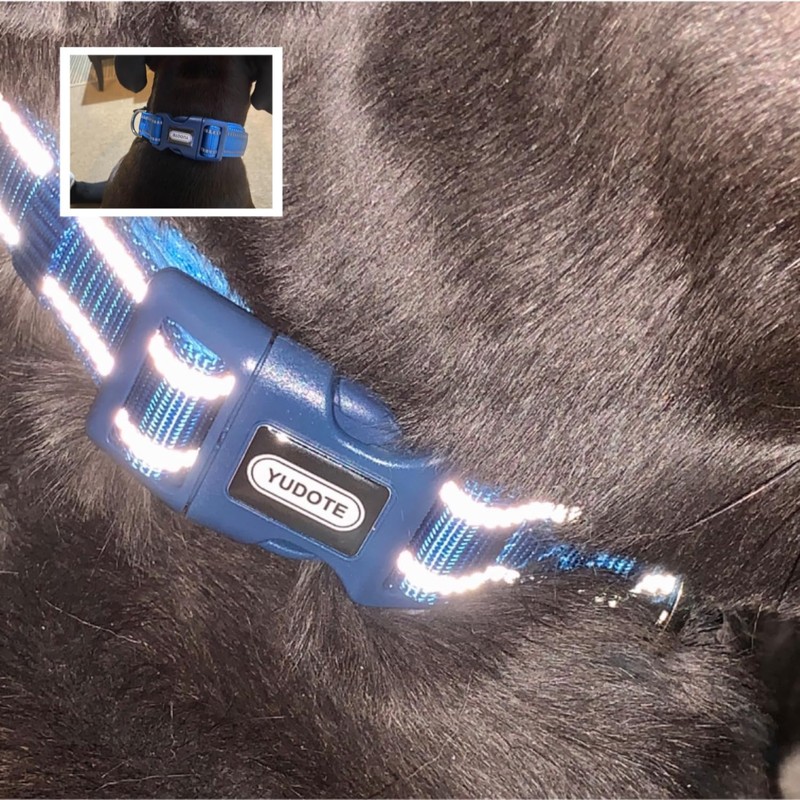 YUDOTE Reflective Adjustable Nylon Dog Collar with Reflevtive Soft Neoprene