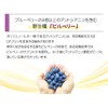ビルベリー + ルテイン 60粒入【5袋セット】約5か月分 2粒にビルベリー 500mg ルテイン 9mg配合