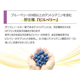 ビルベリー + ルテイン 60粒入【5袋セット】約5か月分 2粒にビルベリー 500mg ルテイン 9mg配合