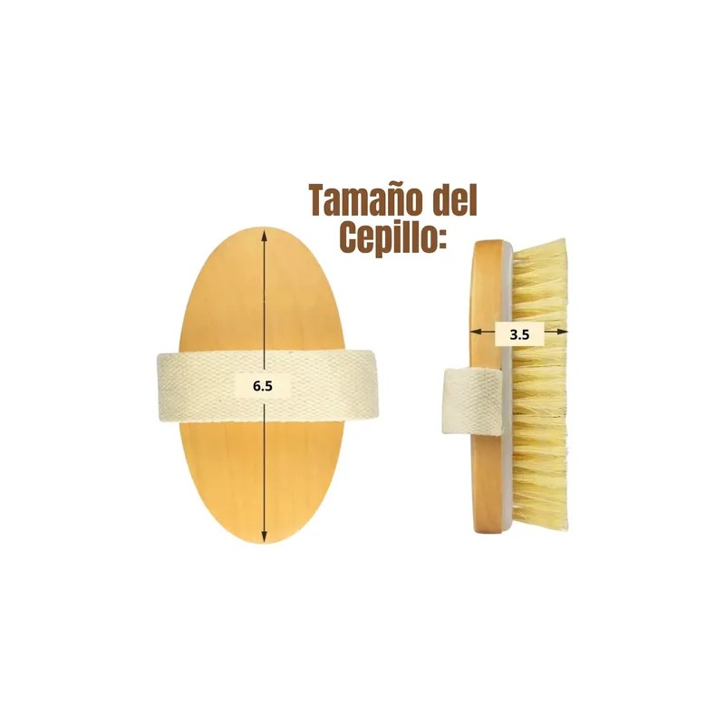 Set Cepillo Corporal Facial Y Esponja Pulpa De Madera Exfo