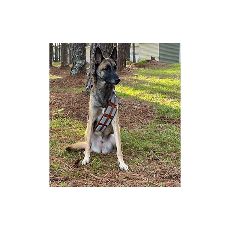 ComfyCamper Peludo Star Warrior - Disfraz de perro con cinturón