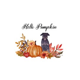 Hello Pumpkin Wall Art Decal Quotes Dog Pet Fall Harvest Wall Decals Vinyl Wall Art Murals Quotes for Kids Room Party Home Decorations