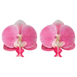 Flower Earrings for Women Big Chiffon Flower Earrings Large Raffia Floral Earrings Daisy Rose Flower Earrings Prom Wedding Party Dress Jewelry Gifts