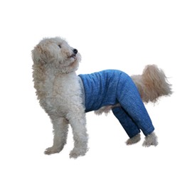 Mozzie Pants Walking Dog Pants, E-Collar Alternative, Dog Pajamas, Small Dog, Blue