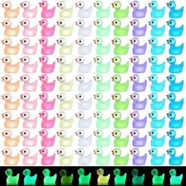 EKisemio 120pcs Luminous Mini Ducks, 10 Colors Tiny Ducks to Hide Resin Ducks Glow in The Dark for Miniature Fairy Garden Accessories Micro Landscape Aquarium Ornaments Kit Dollhouse Decor Crafts