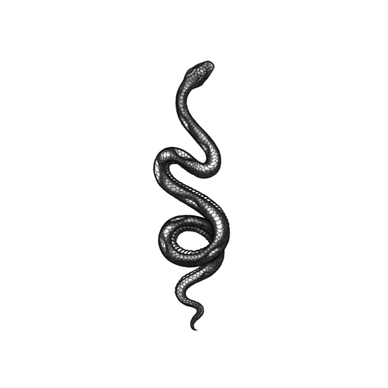 Snake - Blackwork Temporary Tattoo Snake Traditional Black