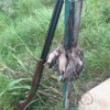 Tourbn Genuine Leather Hunting Game Carrier Clay Pigeon Bird Straps