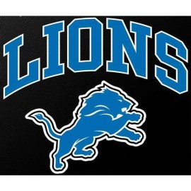 Stockdale Detroit Lions Full Color Die Cut Transfer Decal - 6" x 6"