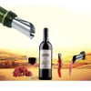 Juego de Vertedor de Vino de Plata Tableta para Verter