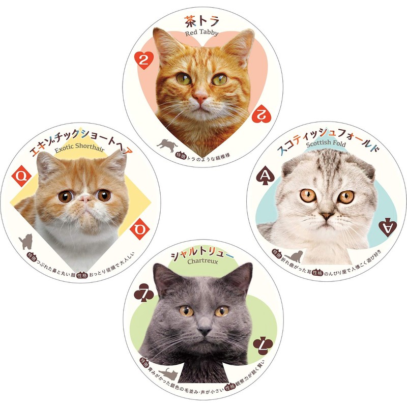 アイアップ ねこトランプ