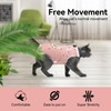 3 PCS Cat Recovery Suit for Spay Abdominal Wounds Female,