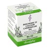 Biochemie 22 Calcium Carbonicum D 6 Tablets, Pack of 80