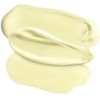 Passport to Organics Retinol 2.5% High Potency Anti-Aging Cream, 1.7oz