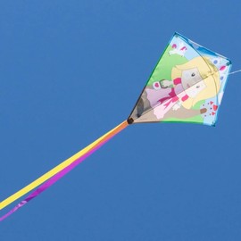 CIM Eddy-S Children's Kite, for Children from 3 Years, Dimensions: 50 x 56 cm, Includes 40 m of Kite String and Trailing Tails