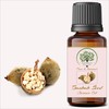 RADANYA Ayurveda RADANYA Ayurveda Baobab Seed Carrier Oil 100% Pure