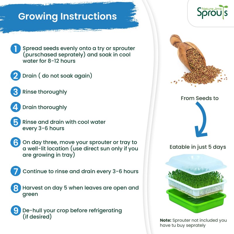 Nature Jims Sprouts alfalfa Seeds – 16 Oz Organic Sprouting