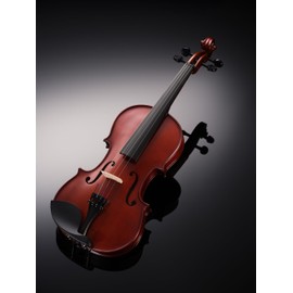 AileyNova（Joyful Encounter Series-V11）Violin 4/4 Full Set for Beginners, Kids & Adults with Hard Case, Rosin, Shoulder Rest, Bow