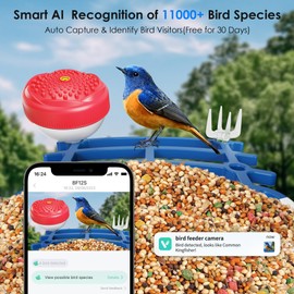 ImmSss Bird Feeder with Camera,Smart AI Identify Species,Hummingbird House Outdoor with 2.5K HD Cam,Solar-Powered,Live View,Instant Alerts,Capture Video,Squirrel-Proof, Ideal Gift for Bird Lover