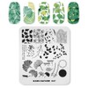 Alexnailart Professional Nail Stamping Plates Autumn Leaves Ginkgo Verse Pattern
