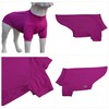 LoveLongLong Spring Summer Cooling Dog T-Shirt with UV Protection and