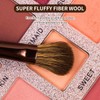 MAANGE 14-Piece Makeup Brush Set with Aluminum Ferrule- Premium Synthetic