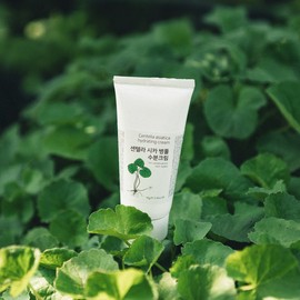 Yuanjae Centella Centella Asiatica Moisture Cream 95g Big Leaf Giant Centella asiatica / 유안재 센텔라병풀수분크림 95g 큰잎 자이언트 병풀