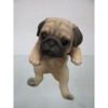 Oriental 石創 animaruobuje dogguo-namento Pug 14209