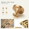 dairazan Solid Brass Cabinet Knobs 5 Pack - Round Brushed
