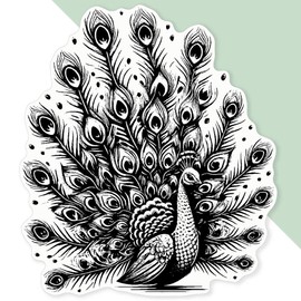 Extra Large 460mm 'Regal Peacock' Permanent Sticker Decal for Cars/Windows/Bins/Walls (DW00114479)