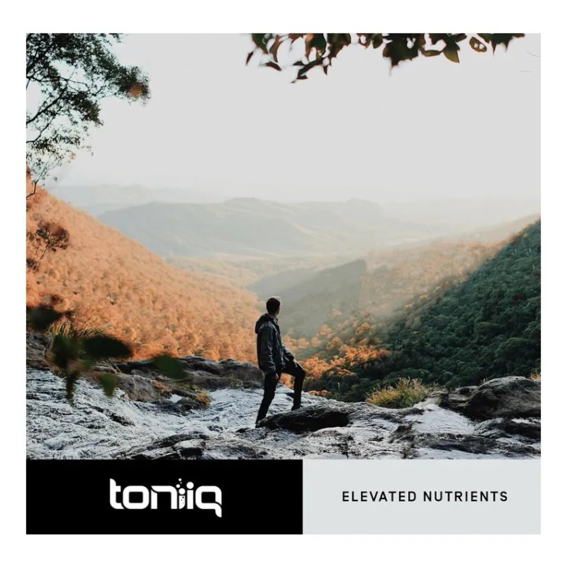 Alcachofa Protege Hígado Mejora Digestión 120 Americano