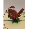 Unbranded Pop Up Merry Christmas Cardinal Greeting Card #68
