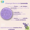 Paraben and Sulphate Free Solid Shampoo Natural Vegan Eco Friendly
