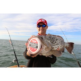 Yo-Zuri Topknot 30 yd Sinking Leader, Natural Clear, 50 lb