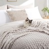 RUIKASI Fleece Throw Blanket for Sofa - Beige Single Fluffy