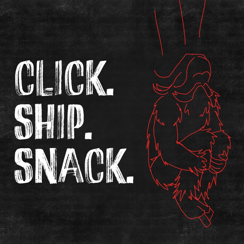 Jack Link's WILD Snack Sticks, Original - Protein Snack Sticks