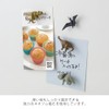 Midori 43425006 Mini Magnets, Set of 4, Dinosaur Pattern