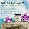 LILICARE LILICARE Plant Based Calcium Supplement + Womens Multivitamin Gummies,